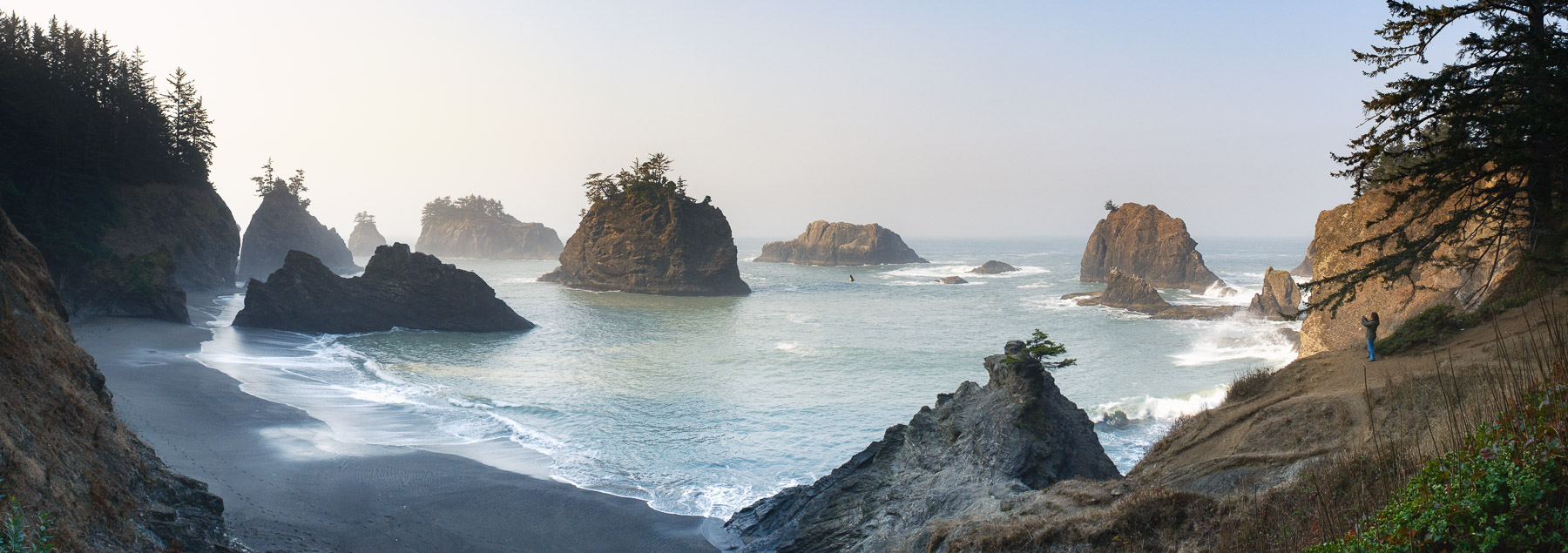 Pacific Northwest Road Trip photo titled Pacific Coast 26
